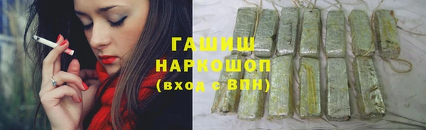 хмурый Алексин