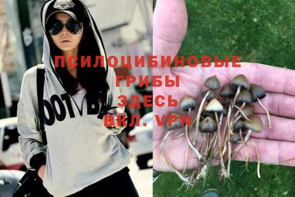 экстази Алексеевка