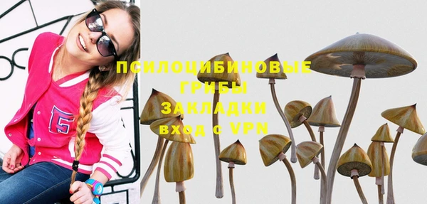 хмурый Алексин