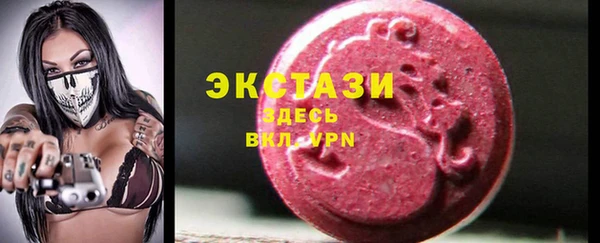 хмурый Алексин
